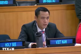 Ambassador Dang Hoang Giang, Permanent Representative of Vietnam to the UN speaks at the debate (Photo: VNA)
