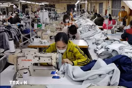 Workers make garment products for export in a company in the northern province of Ha Nam. (Photo: VNA)