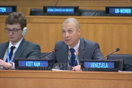 Minister Counsellor Nguyen Hoang Nguyen, Deputy Head of the Permanent Delegation of Vietnam to the UN, speak at the debate. (Photo: VNA)