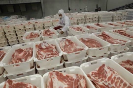 The chilled pork processing line of Masan Meatlife's factory in Hà Nam Province. (Photo: VNA)