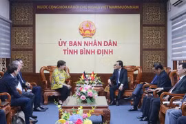 An overview of the working session between leaders of Binh Dinh and Helga Margarete Barth, German Ambassador to Vietnam. (Photo: binhdinh.gov.vn)