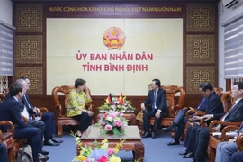 An overview of the working session between leaders of Binh Dinh and Helga Margarete Barth, German Ambassador to Vietnam. (Photo: binhdinh.gov.vn)