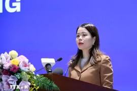 Deputy Minister of Foreign Affairs Nguyen Minh Hang (Photo: VNA)