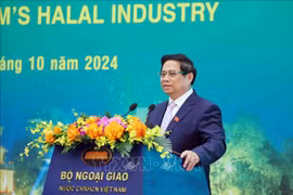 Prime Minister Pham Minh Chinh speaks at the conference on October 22. (Photo: VNA)