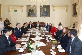 Talks between Party General Secretary and State President To Lam and Irish President Michael D. Higgins. (Photo: VNA)