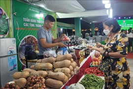 Agricultural products and regional specialties are being introduced at the fair (Photo: VNA)