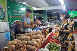 Agricultural products and regional specialties are being introduced at the fair (Photo: VNA)