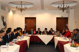 A delegation from the northern province of Lao Cai led by Dang Xuan Phong, member of the Party Central Committee and Secretary of the provincial Party Committee, meets with representatives of the Labour Party (PT) of Mexico. (Photo: VNA)