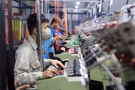 Workers during a working shift at a packaging factory in the northern province of Hung Yen. (Photo: VNA)