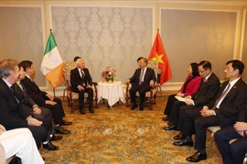 Party General Secretary and State President To Lam (R) receives Honourary Consul of Vietnam in Ireland Patrick McKillen (Photo: VNA)