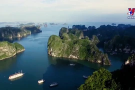 Quang Ninh developing tours for billionaires