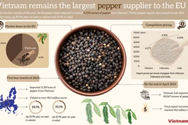 Vietnam remains the largest pepper supplier to the EU 