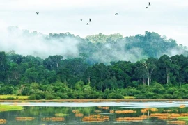 Cat Tien – Vietnam’s first national park on the IUCN Green List