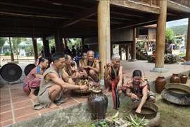 Unique rice-sowing festival of the Brau in central highlands