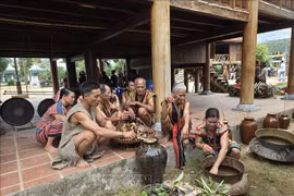 Unique rice-sowing festival of the Brau in central highlands