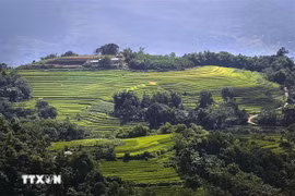 Beauty of Mien Doi terraced fields in Hoa Binh province