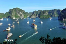 Ha Long Bay: A journey into natural grandeur