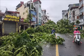 Typhoon consequences seen in every coner of Hanoi