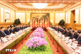 Top leaders of Vietnam, China hold talks in Beijing