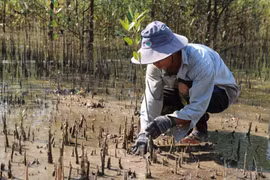 Environmental protection for sustainable development 