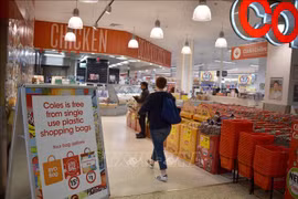 Vietnam takes actions towards plastic bag free community