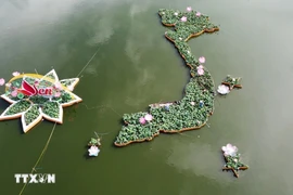 5,000 lotus flower pots craft Vietnam's map