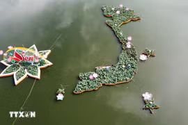 5,000 lotus flower pots craft Vietnam's map