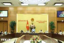 National Assembly Chairman Tran Thanh Man speaks at the meeting. (Photo: VNA)