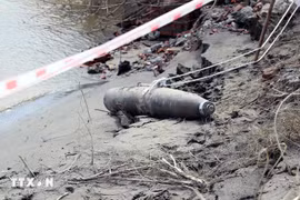 A war-time bomb weighing more than 100 kg is uncovered in Viet Tri City, the province of Phu Tho, on August 14. (Photo: VNA)