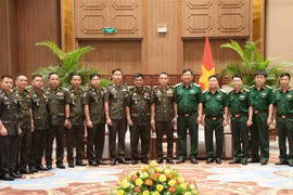 Participants at the meeting (Photo: VNA)
