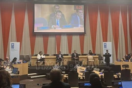 Ambassador Dang Hoang Giang, Permanent Representative of Vietnam to the UN, speaks at the UNDP Executive Board's dialogue with member states on actions to accelerate the adoption of sustainable energy for development, held in New York on August 27. (Photo: VNA)