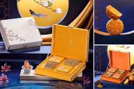 Early season mid-autumn festival mooncake market caters to diverse demand