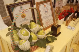 Di Trach guava (Photo: hanoimoi.vn)