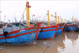 Fishing boats docking at a port in Nam Dinh (Photo: VNA)