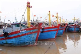 Fishing boats docking at a port in Nam Dinh (Photo: VNA)