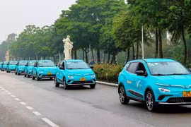 EVs made by Vietnamese maker VinFast (Photo: VNA)