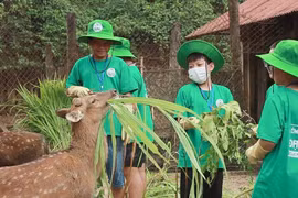 Young people participate in the experience programme "Cuc Phuong Camp 2024" at Cuc Phuong National Park in the northern province of Ninh Binh (Photo: VNA)