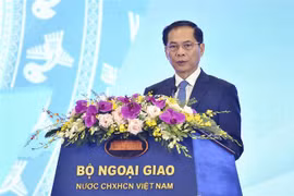 Foreign Minister Bui Thanh Son addresses the opening of the 4th World Conference of Overseas Vietnamese (OV) and the 2024 forum of OV intellectuals and experts (Photo: VNA)