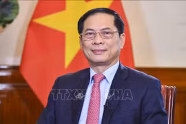 Deputy PM and Minister of Foreign Affairs Bui Thanh Son (Photo: VNA)