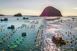 Lobster farm in south central province of Phu Yen (Photo: VNA)