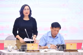 Deputy Minister of Industry and Trade Phan Thi Thang speaks at the Government's regular press conference in Hanoi on August 5. (Photo: VNA)