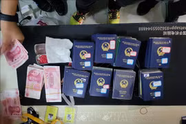 Nearly 100 passports are confiscated (Photo: VNA)