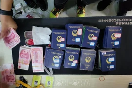 Nearly 100 passports are confiscated (Photo: VNA)