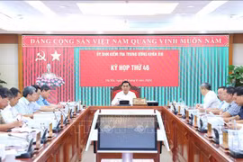 At the meeting (Photo: VNA)