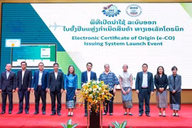Participants at the launching ceremony (Photo: VNA)