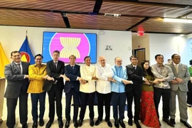 Vietnamese Ambassador to the US Nguyen Quoc Dung (fourth from left) with Ambassadors/ Charge d'Affaires of embassies of ASEAN countries in Washington D.C. (Photo: VNA)