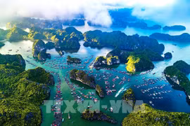 An aerial view of Cat Ba archipelago. (Photo: VNA)