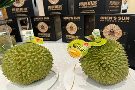 Durian emerges as new hope for Malaysia’s exports