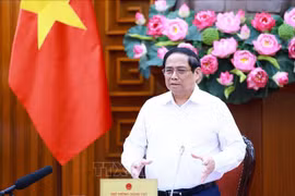 Prime Minister Pham Minh Chinh addresses the meeting. (Photo: VNA)