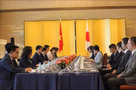 At the 12th meeting of the Vietnam-Japan Cooperation Committee (Photo: VNA)